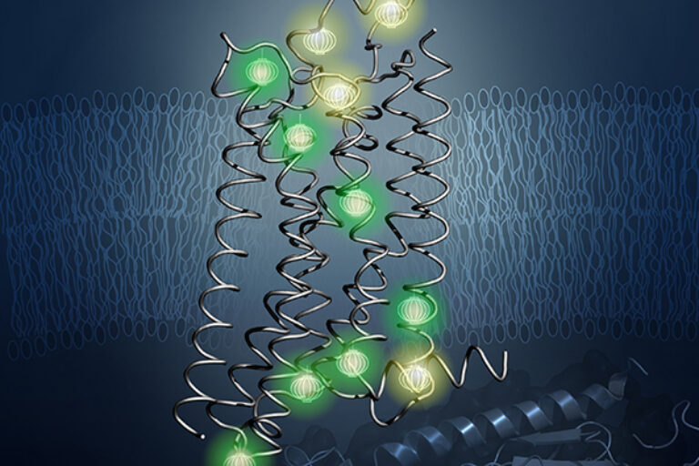 New structure of key protein holds clues for better drug design
