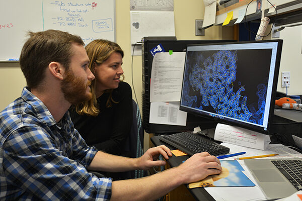 TSRI scientists discover workings of first promising Marburg virus treatment
