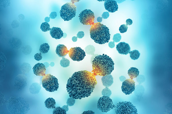 Lab studies explain how new cancer drug works as it enters patient testing
