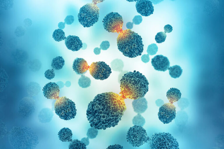Lab studies explain how new cancer drug works as it enters patient testing