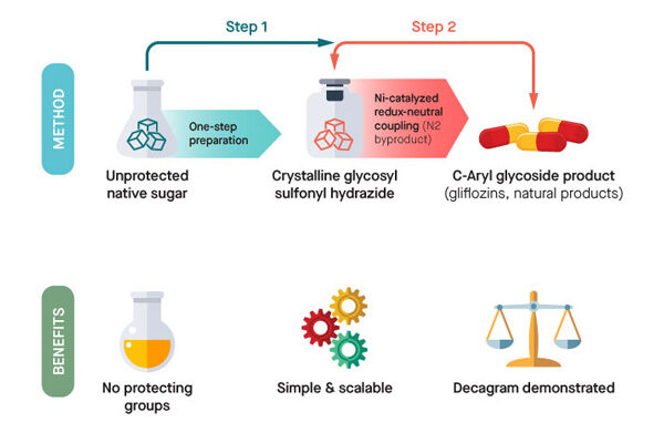 Scripps Research scientists demonstrate a faster, cheaper route to making critical drugs using common table sugar