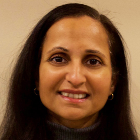 Meenakshy Iyer, PhD