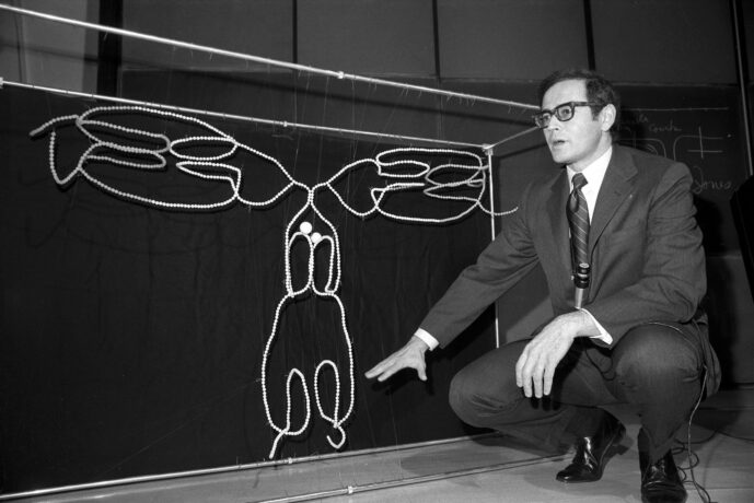 Gerald Edelman with a bead model of the key molecule of immunity, gamma globulin