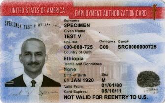 Employment Authorization Document (EAD)