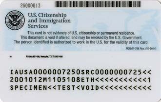 Employment Authorization Document (EAD)