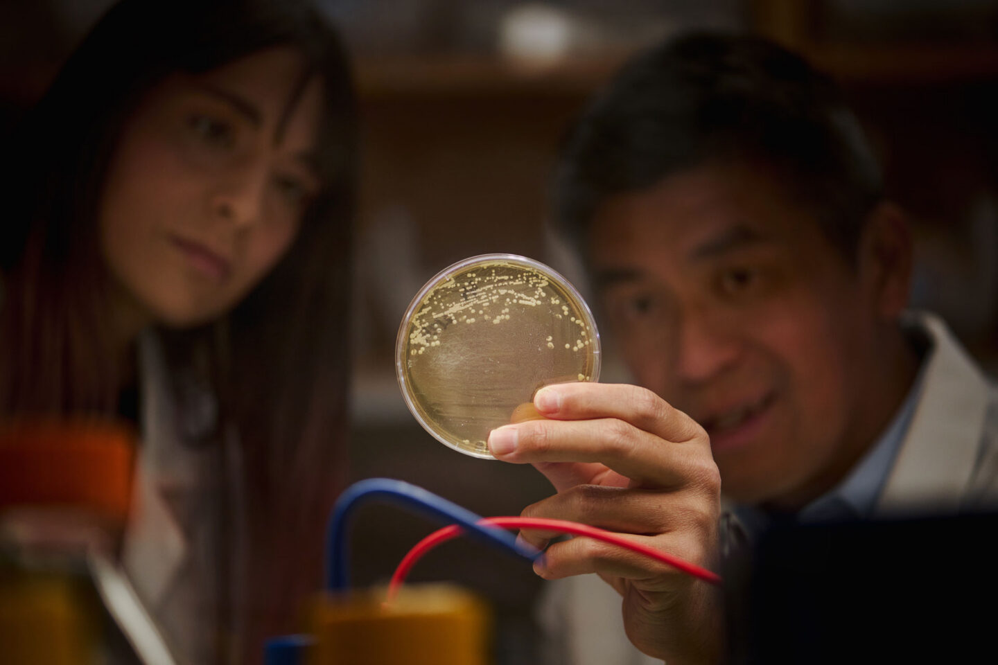 scientists viewing a sample