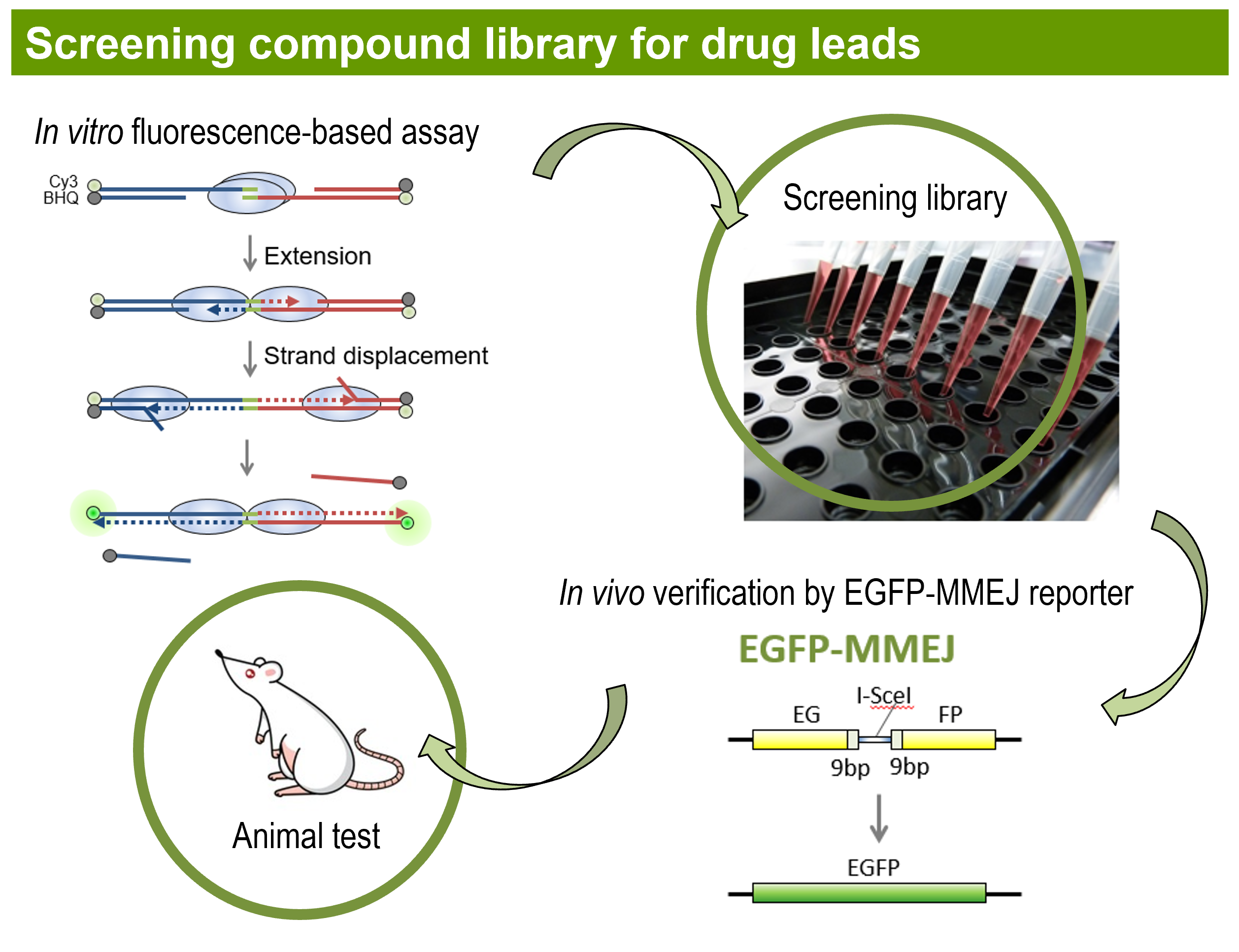 small-molecule-screening.png