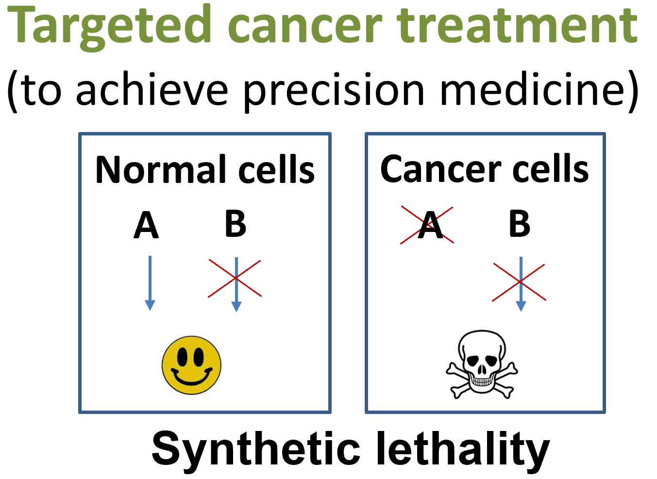 synthetic-lethality.png