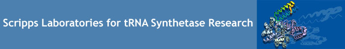 Scripps Laboratories for tRNA Synthetase Research