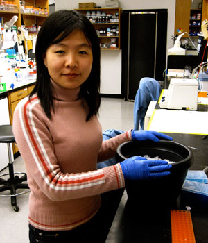 Photo of Zhongying Mo, Ph.D.