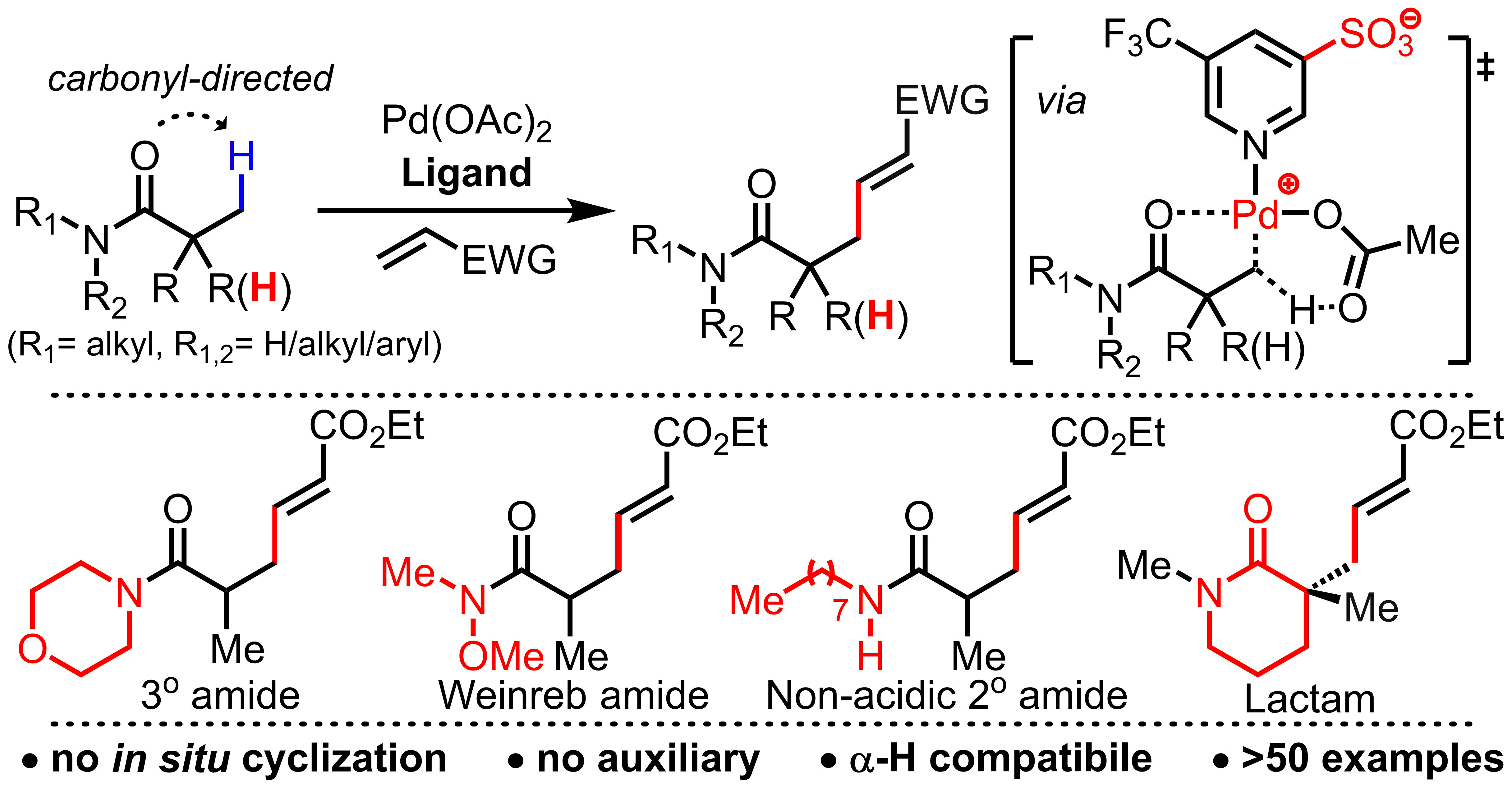 The Yu Lab