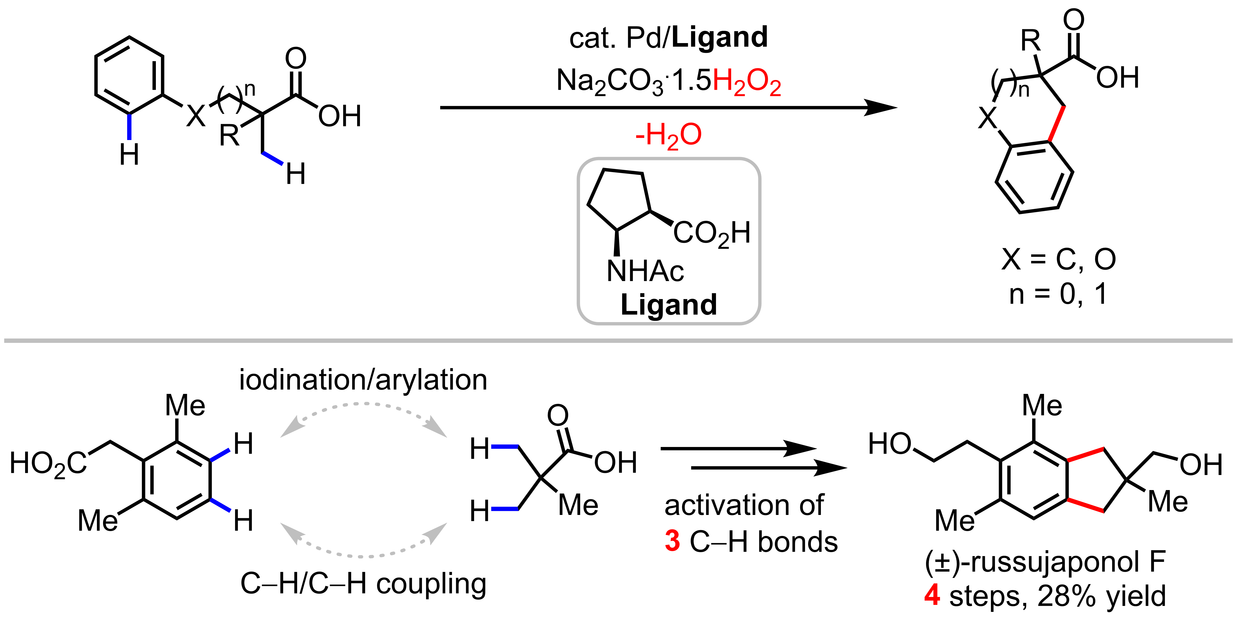 The Yu Lab