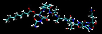 Model of the first 10 amino acids of an N-terminal ghrelin hapten