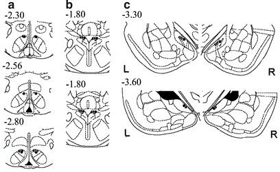 Local infusion of urocortin 3 into discrete rat brain sites